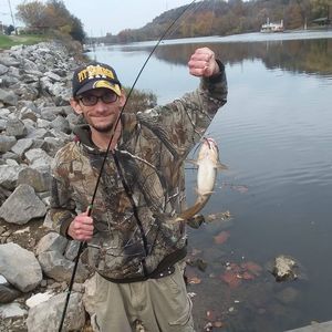 Meet your Posher, Jonathan